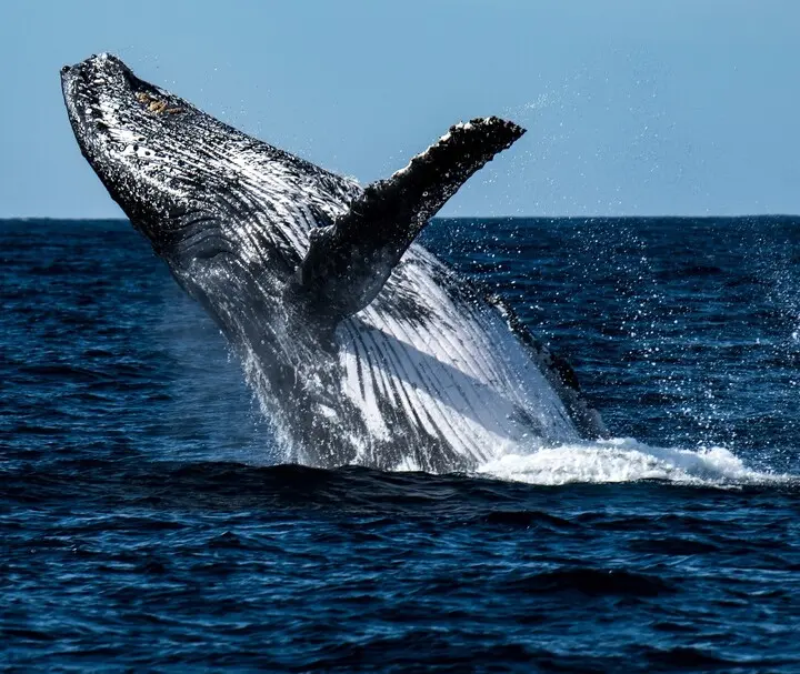 Adding Charm To Your Adventures